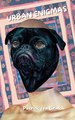 Urban Enigmas - Patrick Ten Brink - cover