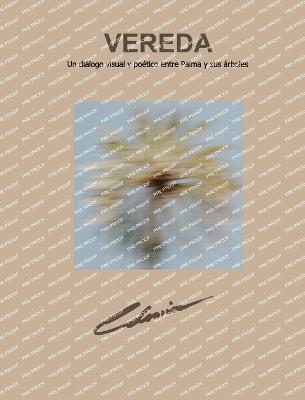 Vereda - Miguel Morey Colomina - cover
