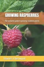 Growing Raspberries: The complete guide to growing raspberry plants