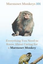 Marmoset Monkey's 101: Everything you need to know about caring for a Marmoset Monkey