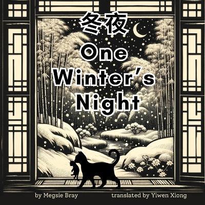 One Winter's Night: ?? - Megsie Bray - cover