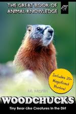 Woodchucks: Tiny Bear-Like Creatures In the Dirt