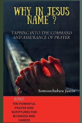 Why in Jesus Name ?: Tapping Into the Command and Assurance of Prayer - Somtoochukwu Justin - cover