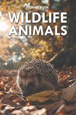 Wildlife Animals: Picture Book for Alzheimer's Patients and Seniors with Dementia
