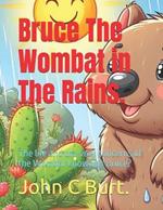 Bruce The Wombat in The Rains.: The life and the very concerns of the Wombat known as Bruce?