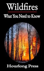 Wildfires: What You Need to Know
