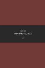 B'ajlom ii Nkotz'i'j Publications' A Concise Chinantec Grammar