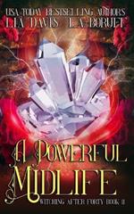 A Powerful Midlife: A Life After Magic Mystery
