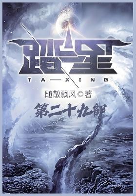 踏星：第二十九部 - 随散飘风 - cover