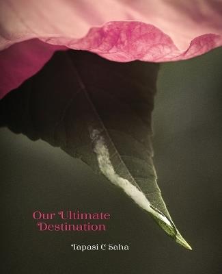 Our Ultimate Destination Paperback - Tapasi C Saha - cover