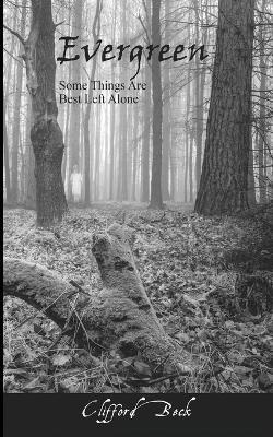 Evergreen - Some Things Are Best Left Alone - Beck - cover