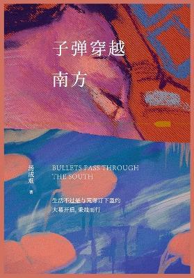 子弹穿越南方 - 汤成难 - cover