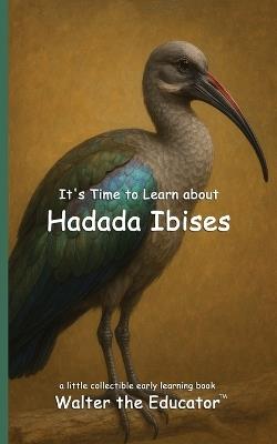 It's Time to Learn about Hadada Ibises - Walter the Educator - cover