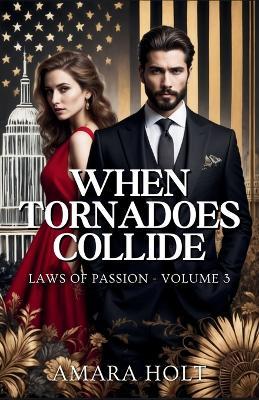 When Tornadoes Collide - Amara Holt - cover