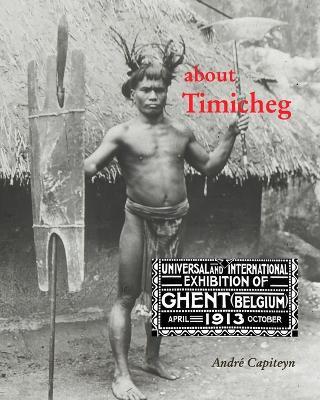 about Timicheg: who died at the World's Fair in Ghent 1913 - Andr? Capiteyn - cover
