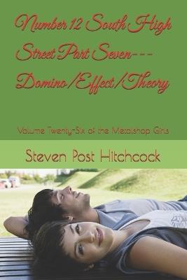 Number 12 South High Street Part Seven---Domino/Effect/Theory: Volume Twenty-Six of the Metalshop Girls - Steven Post Hitchcock - cover