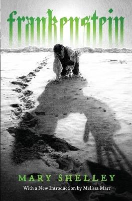 Frankenstein - Mary Shelley - cover