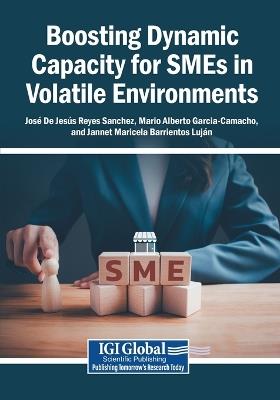 Boosting Dynamic Capacity for SMEs in Volatile Environments - cover