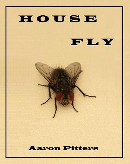 House Fly