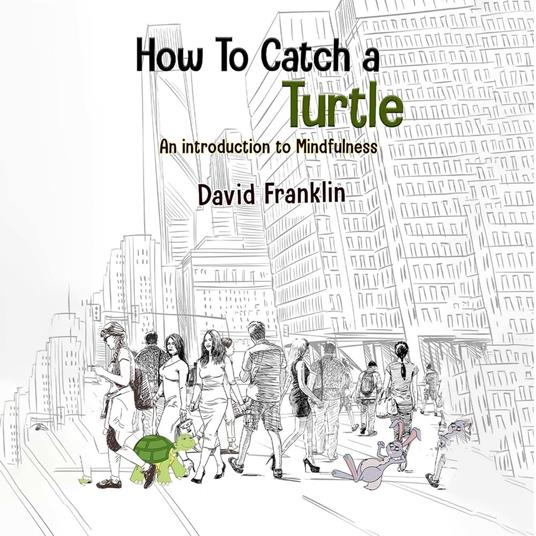 How to Catch a Turtle