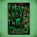 Little Broken Things