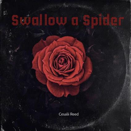 Swallow a Spider