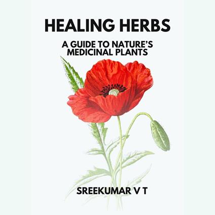 Healing Herbs: A Guide to Nature’s Medicinal Plants