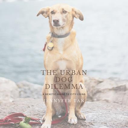 Urban Dog Dilemma, The