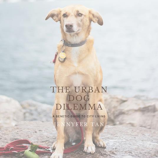 Urban Dog Dilemma, The