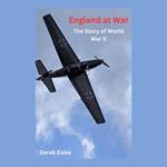 Falklands War, The: England’s Fight for the Islands