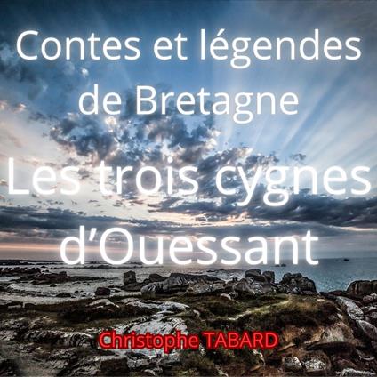 Les trois cygnes d'Ouessant