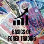 Basics of Forex Trading