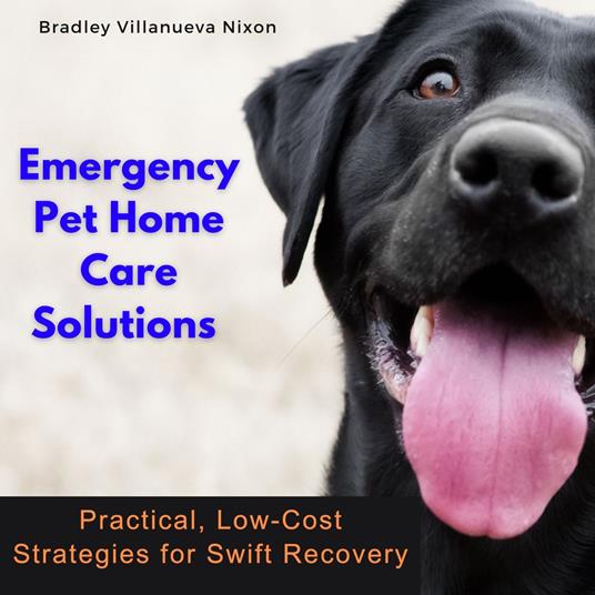 Emergency Pet Home Care Solutions
