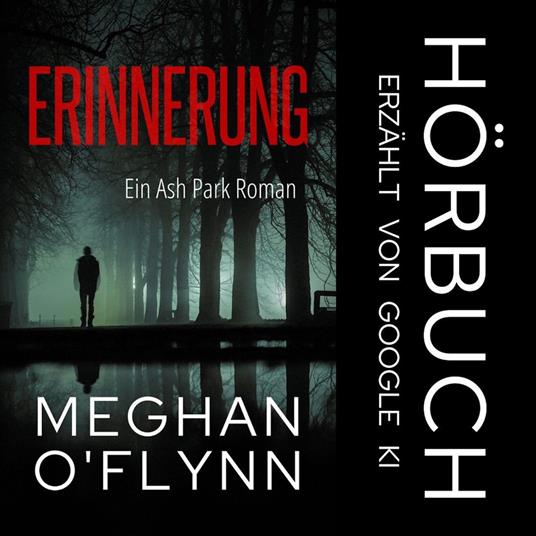 Erinnerung: Ein Ash Park Roman