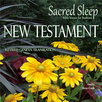 Sacred Sleep: New Testament