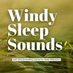 Windy Sleep Sounds