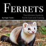 Ferrets