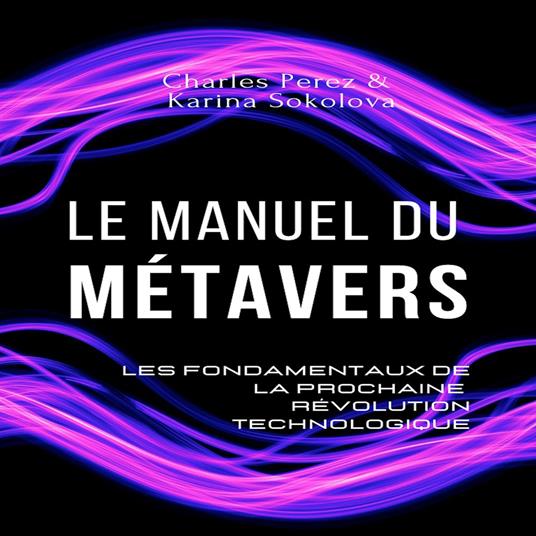 Le manuel du métavers