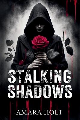 Stalking Shadows - Amara Holt - cover