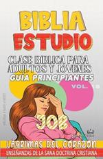 Clase Bíblica para Adultos y Jóvenes: Guía Principiantes: Job