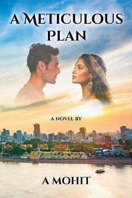 A Meticulous Plan - A Mohit - cover