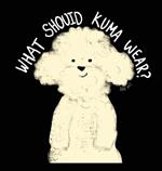 What Should Kuma Wear?