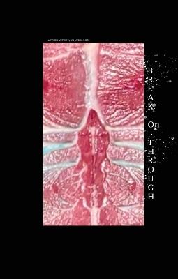 Break on Through - Lynn Zubal Kozs - cover