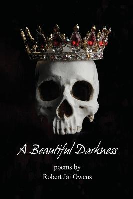 A Beautiful Darkness Second Edition - Robert Jai Owens - cover