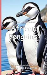 It's Time to Learn about African Penguins