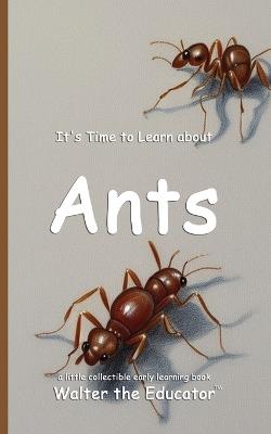 It's Time to Learn about Ants - Walter the Educator - cover