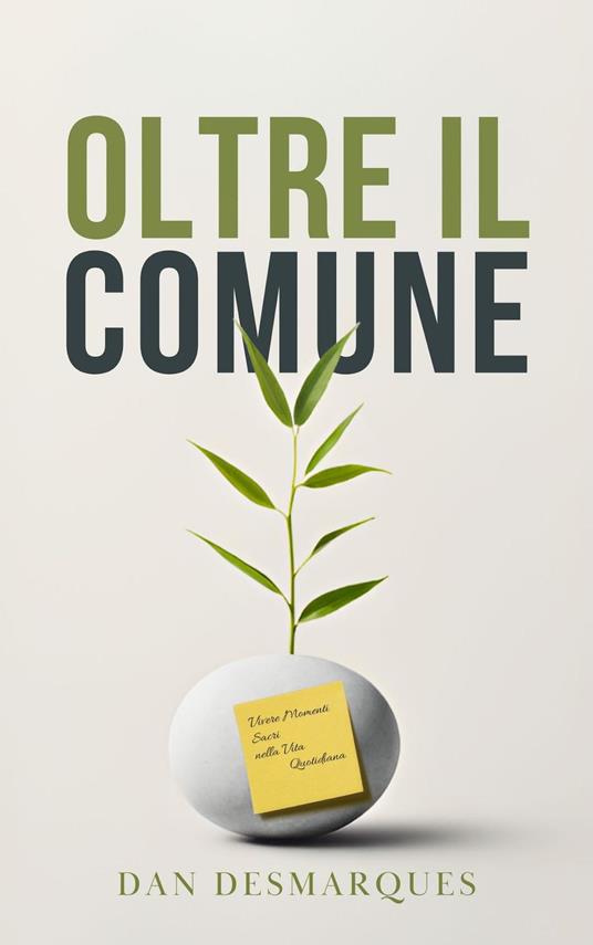 Oltre il Comune - Dan Desmarques - ebook