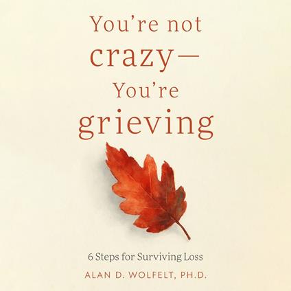 You’re Not Crazy—You’re Grieving