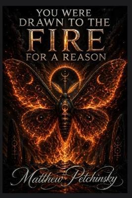 You Were Drawn to the Fire for a Reason - Matthew Petchinsky - cover