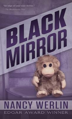 Black Mirror - Nancy Werlin - cover